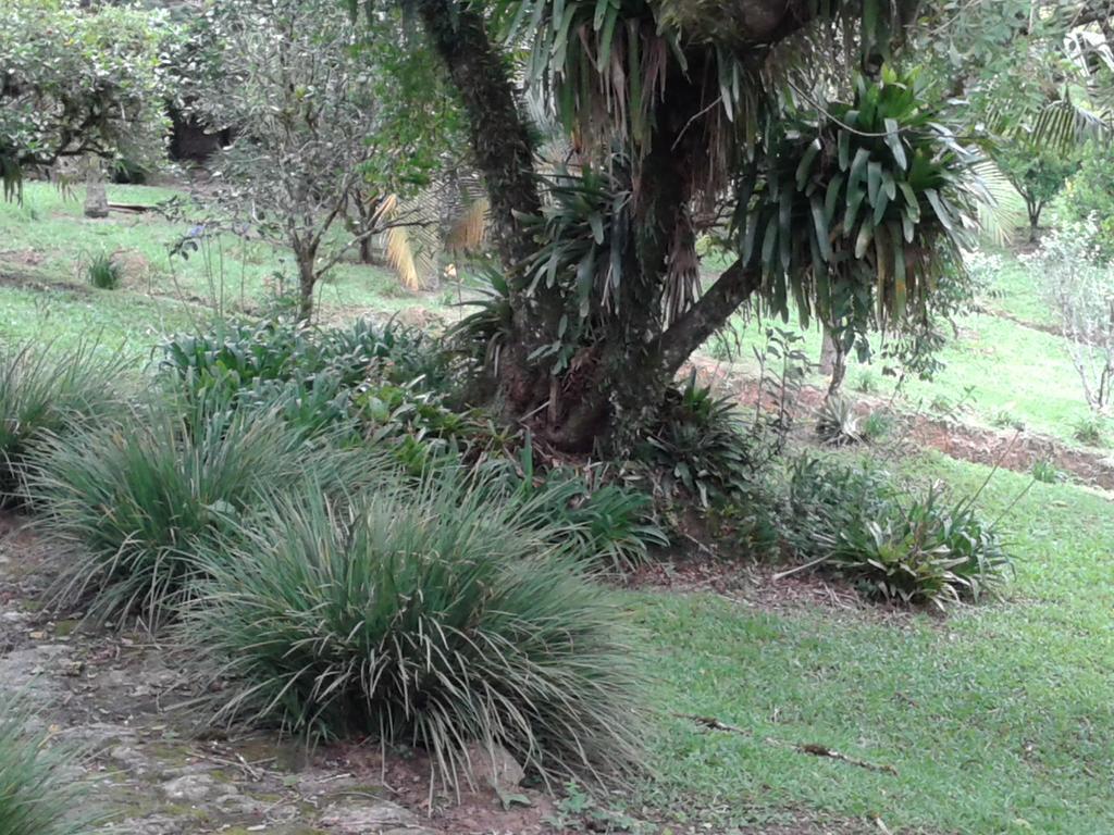 Pousada Recanto Aguas Vivas Turvo dos Gois Εξωτερικό φωτογραφία